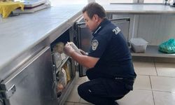 Zabıta ekiplerinden aralıksız denetim