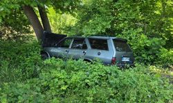 Yoldan çıkarak ağaca çarpan otomobilin sürücüsü yaralandı