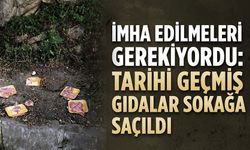 Oysa imha edilmeleri gerekiyordu: Tarihi geçmiş gıdalar sokağa saçıldı