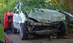 Ormanlık alana uçtu: Yaralılar var