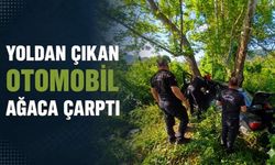 Yoldan çıkan otomobil ağaca çarptı