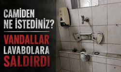 Camiden ne istediniz? Vandallar lavabolara saldırdı