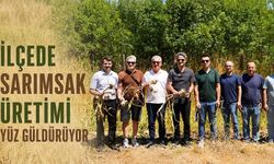 İlçede sarımsak üretimi yüz güldürüyor
