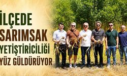 İlçede sarımsak yetiştiriciliği yüz güldürüyor