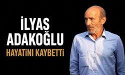 İlyas Adakoğlu hayatını kaybetti