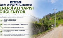 3 köyde enerji seferberliği: Hatlar ve trafolar yenileniyor