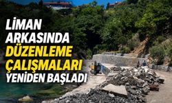 Liman arkasında düzenleme çalışmaları yeniden başladı