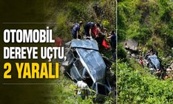 Otomobil dereye uçtu, 2 yaralı