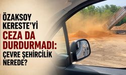 Özaksoy Kereste’yi ceza da durdurmadı: Çevre şehircilik nerede?