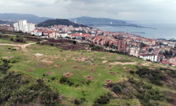 Ereğli’ye yeni piknik ve mesire alanı