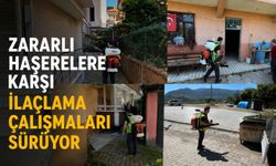 Zararlı haşerelere karşı ilaçlama çalışmaları sürüyor