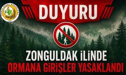 Zonguldak’ta ormanlara girişler yasaklandı