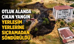 Otluk alanda çıkan yangın yerleşim yerlerine sıçramadan söndürüldü