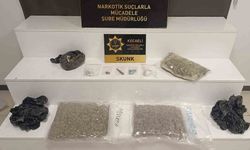 Kilolarca skunk ele geçirildi