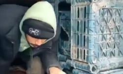 1 düzensiz göçmen yakalandı