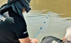 2,4 kilometrelik ölüm ağına geçit verilmedi