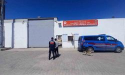 Aranan 2 hükümlü JASAT operasyonuyla yakalandı