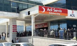 Arazi kavgasında 1 kişi yaralandı