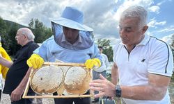 AB tescilli ıhlamur balında hasat başladı