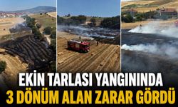 Ekin tarlası yangınında 3 dönüm alan zarar gördü