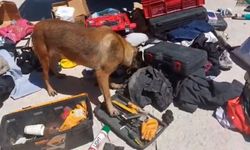 Bin 699 adet sentetik ecza hapı ile 387 gram amfetamin ele geçirildi