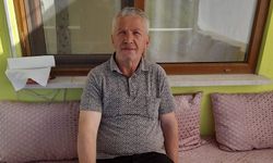 Arıların soktuğu yaşlı adam hayatını kaybetti