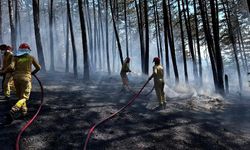 Orman yangınında alevlere havadan ve karadan müdahale edildi