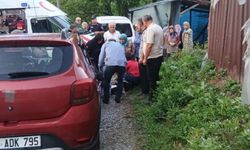Freni tutmayan hafif ticari araç, anne ile iki çocuğuna çarptı