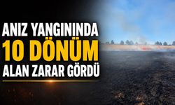 Anız yangınında 10 dönüm alan zarar gördü