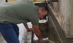 Duyarlı vatandaş, hayvanların su içtiği yosunlu çeşmeyi temizledi