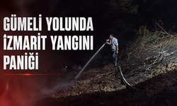Gümeli yolunda izmarit yangını paniği