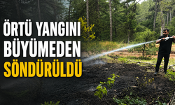 Örtü yangını büyümeden söndürüldü