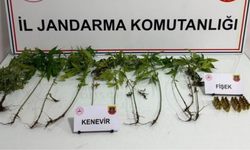 Jandarmadan uy*şturucu operasyonu