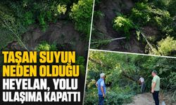 Taşan suyun neden olduğu heyelan, yolu ulaşıma kapattı