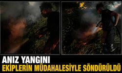 Anız yangını ekiplerin müdahalesiyle söndürüldü