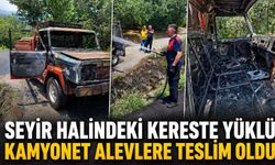 Seyir halindeki kereste yüklü kamyonet alevlere teslim oldu