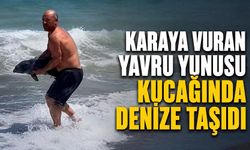Karaya vuran yavru yunusu kucağında denize taşıdı