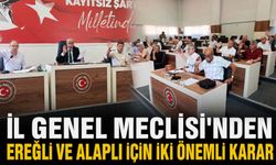 İl Genel Meclisi'nden Ereğli ve Alaplı için iki önemli karar
