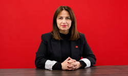 CHP'de bir istifa daha: Özlem Danış da gitti