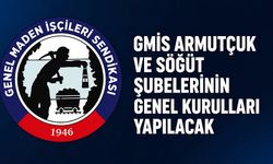 GMİS Armutçuk ve Söğüt şubelerinin genel kurulları yapılacak