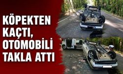 Köpekten kaçtı, otomobili takla attı