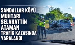 Sandallar Köyü Muhtarı Selahattin Ataman trafik kazasında yaralandı