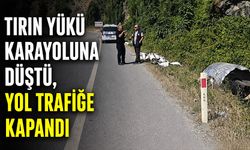 Tırın yükü karayoluna düştü, yol trafiğe kapandı