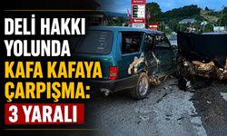 Deli Hakkı yolunda kafa kafaya çarpışma: 3 yaralı