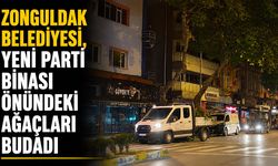 Zonguldak Belediyesi, Yeni Parti binası önündeki ağaçları budadı