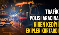 Trafik polisi aracına giren kediyi ekipler kurtardı