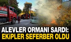 Alevler ormanı sardı: Ekipler seferber oldu
