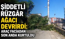 Şiddetli rüzgâr ağacı devirdi: Araç faciadan son anda kurtuldu