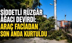 Şiddetli rüzgâr ağacı devirdi: Araç faciadan son anda kurtuldu