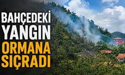 Muslu'da bahçe ateşi ormana sıçradı! Ekipler seferber oldu